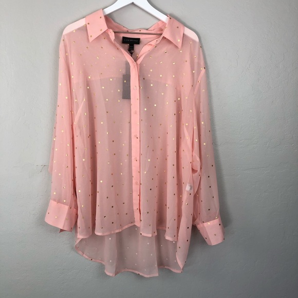L. Bryant sz 22 pink button down long sleeve top - Picture 1 of 5